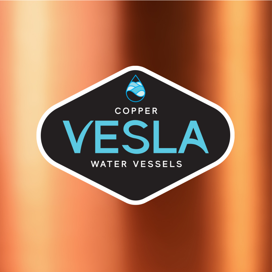 VESLA_logo Mock copy 1