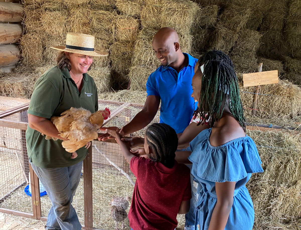 Family petting chicken at Farmer's Museum