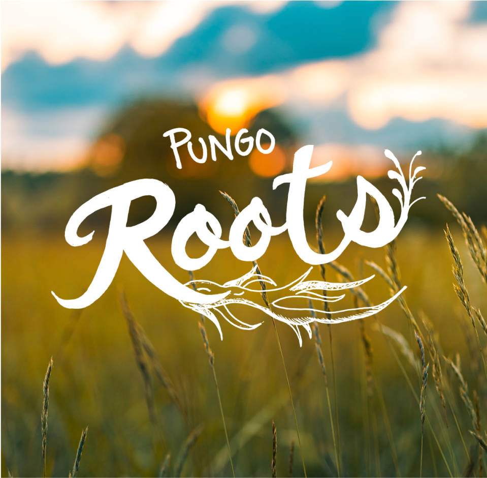 Pungo Roots