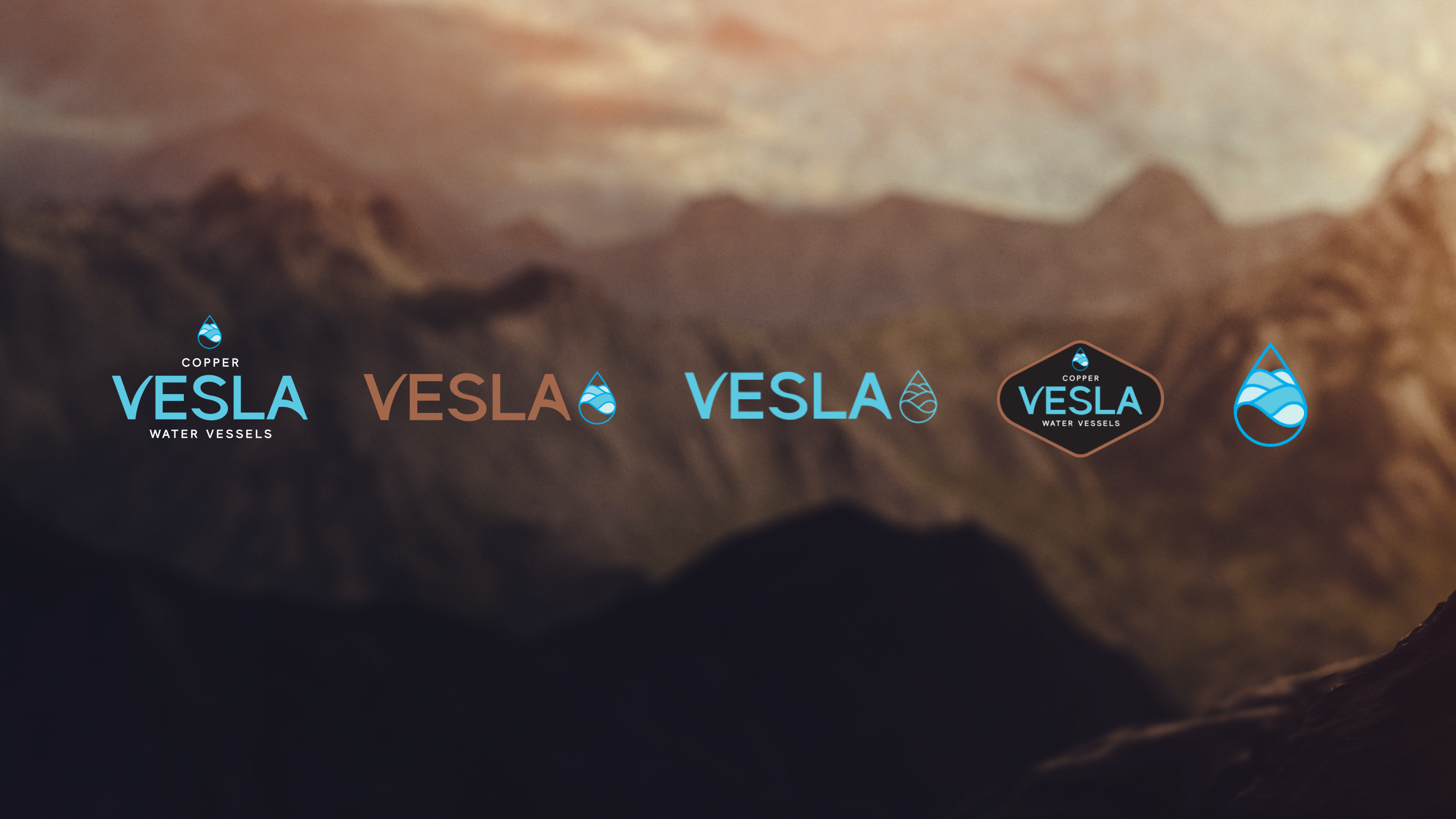 VESLA logo suite